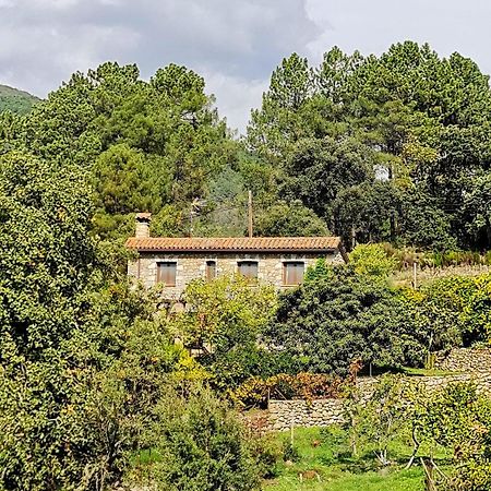 Casa Rural En Candeleda Con Piscina Y Un Maravilloso Jardin ภายนอก รูปภาพ