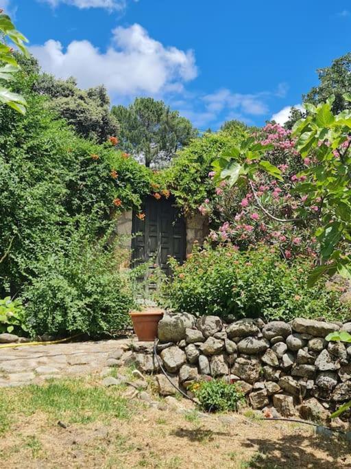 Casa Rural En Candeleda Con Piscina Y Un Maravilloso Jardin ภายนอก รูปภาพ