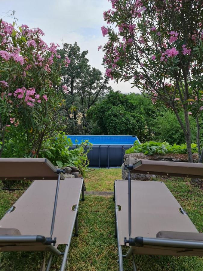 Casa Rural En Candeleda Con Piscina Y Un Maravilloso Jardin ภายนอก รูปภาพ