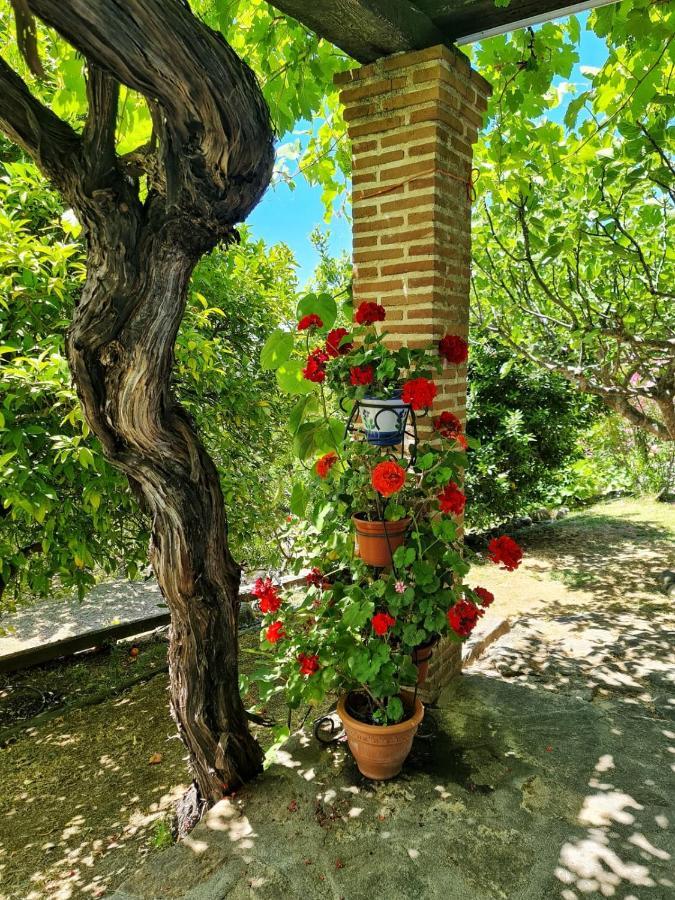 Casa Rural En Candeleda Con Piscina Y Un Maravilloso Jardin ภายนอก รูปภาพ