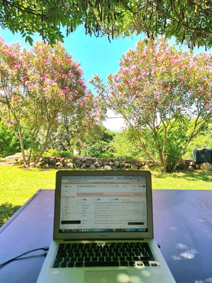 Casa Rural En Candeleda Con Piscina Y Un Maravilloso Jardin ภายนอก รูปภาพ