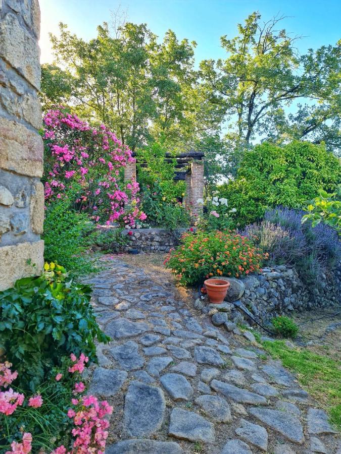 Casa Rural En Candeleda Con Piscina Y Un Maravilloso Jardin ภายนอก รูปภาพ