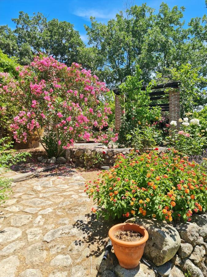 Casa Rural En Candeleda Con Piscina Y Un Maravilloso Jardin ภายนอก รูปภาพ
