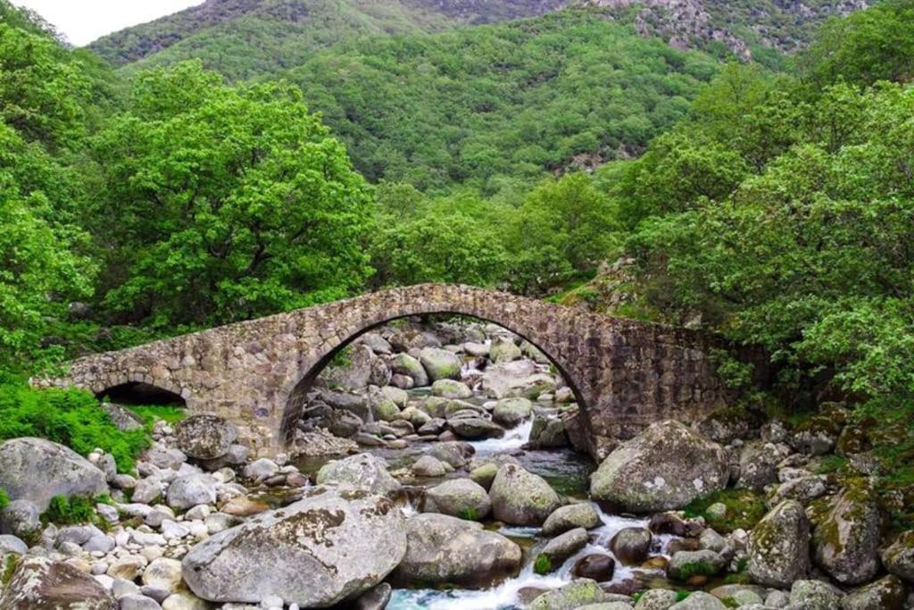 Casa Rural En Candeleda Con Piscina Y Un Maravilloso Jardin ภายนอก รูปภาพ