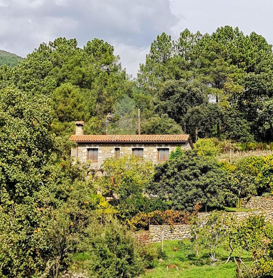 Casa Rural En Candeleda Con Piscina Y Un Maravilloso Jardin ภายนอก รูปภาพ