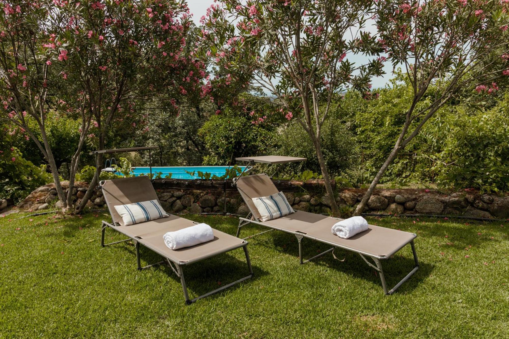 Casa Rural En Candeleda Con Piscina Y Un Maravilloso Jardin ภายนอก รูปภาพ