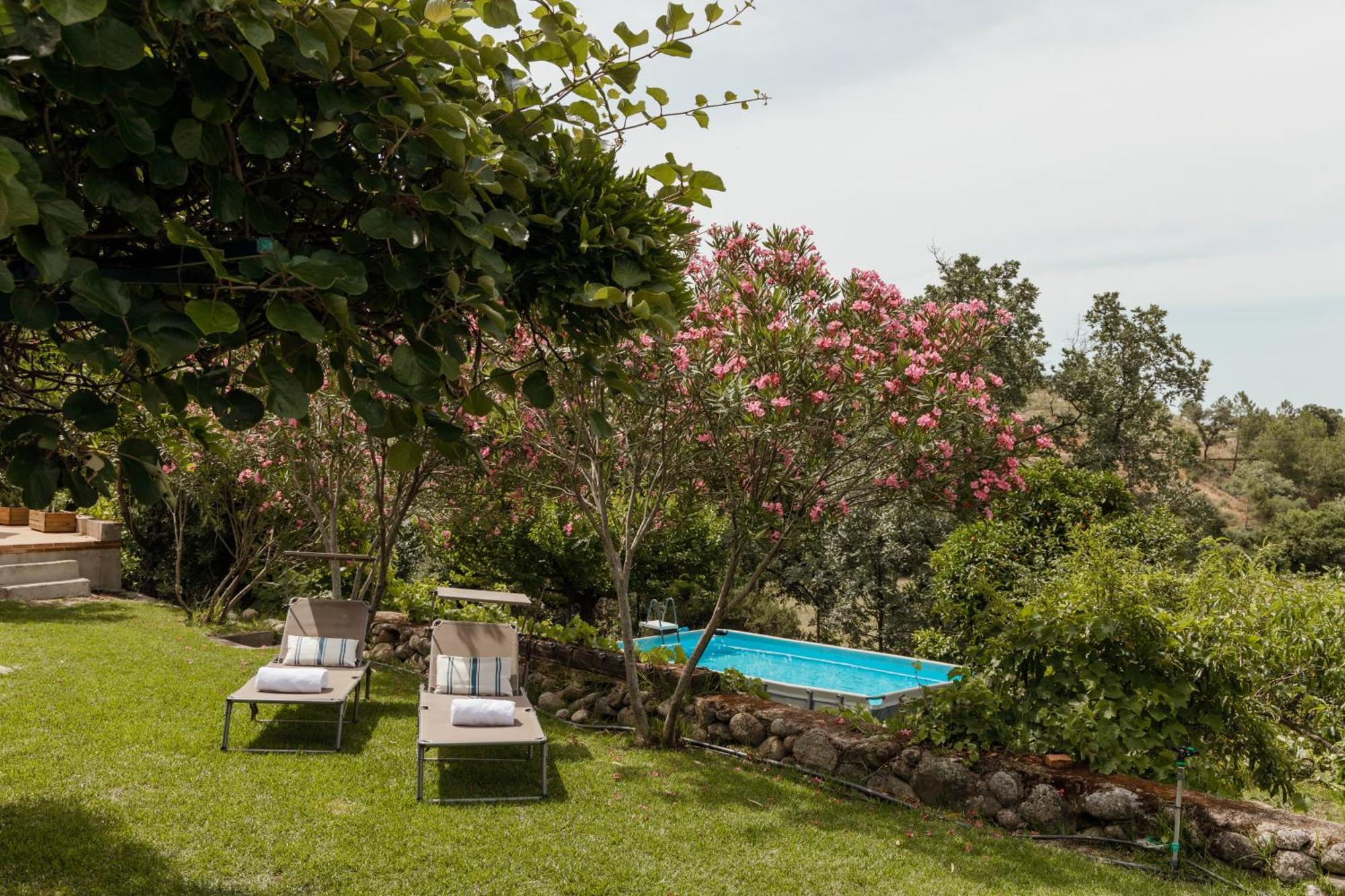 Casa Rural En Candeleda Con Piscina Y Un Maravilloso Jardin ภายนอก รูปภาพ