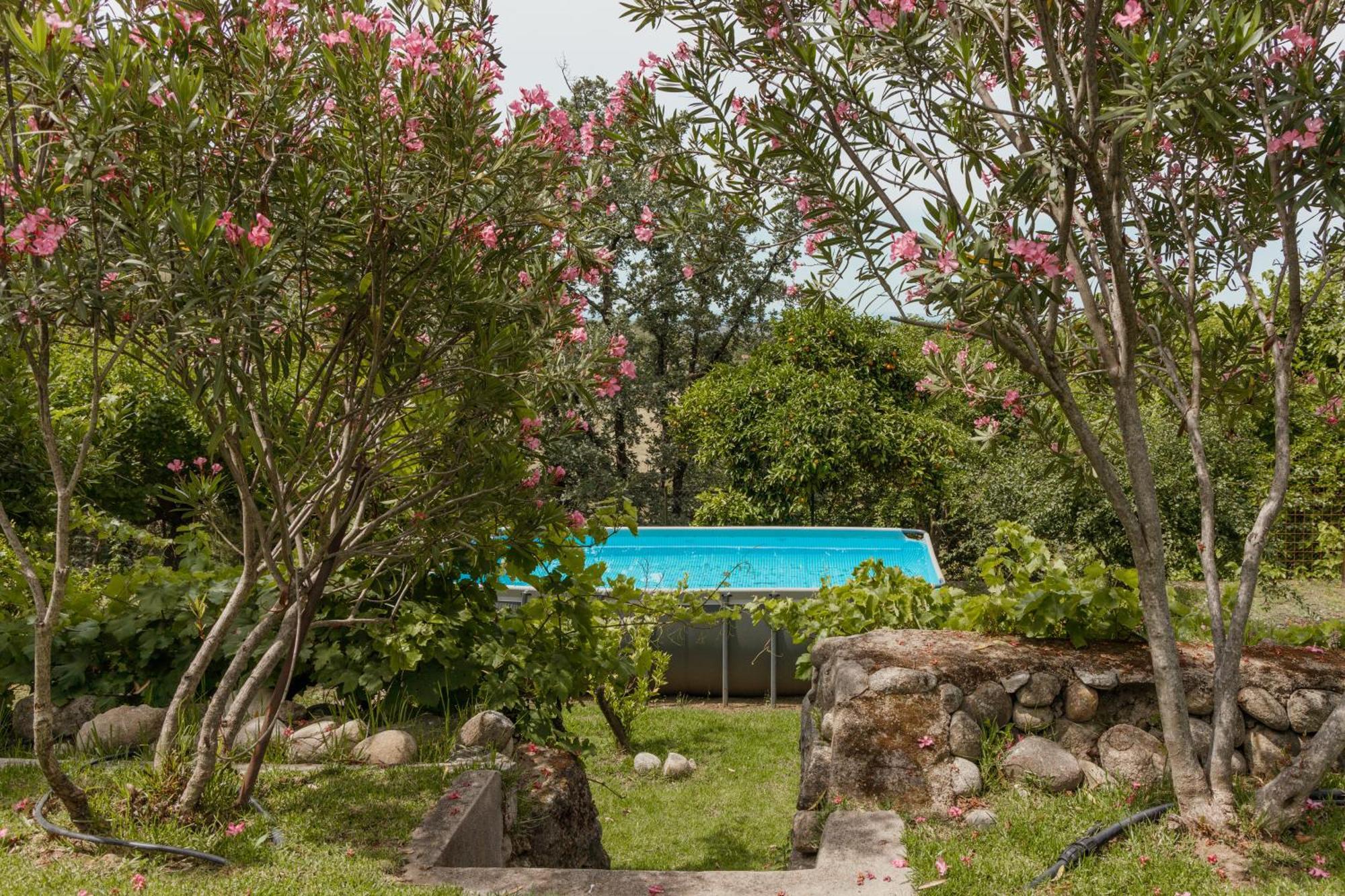Casa Rural En Candeleda Con Piscina Y Un Maravilloso Jardin ภายนอก รูปภาพ