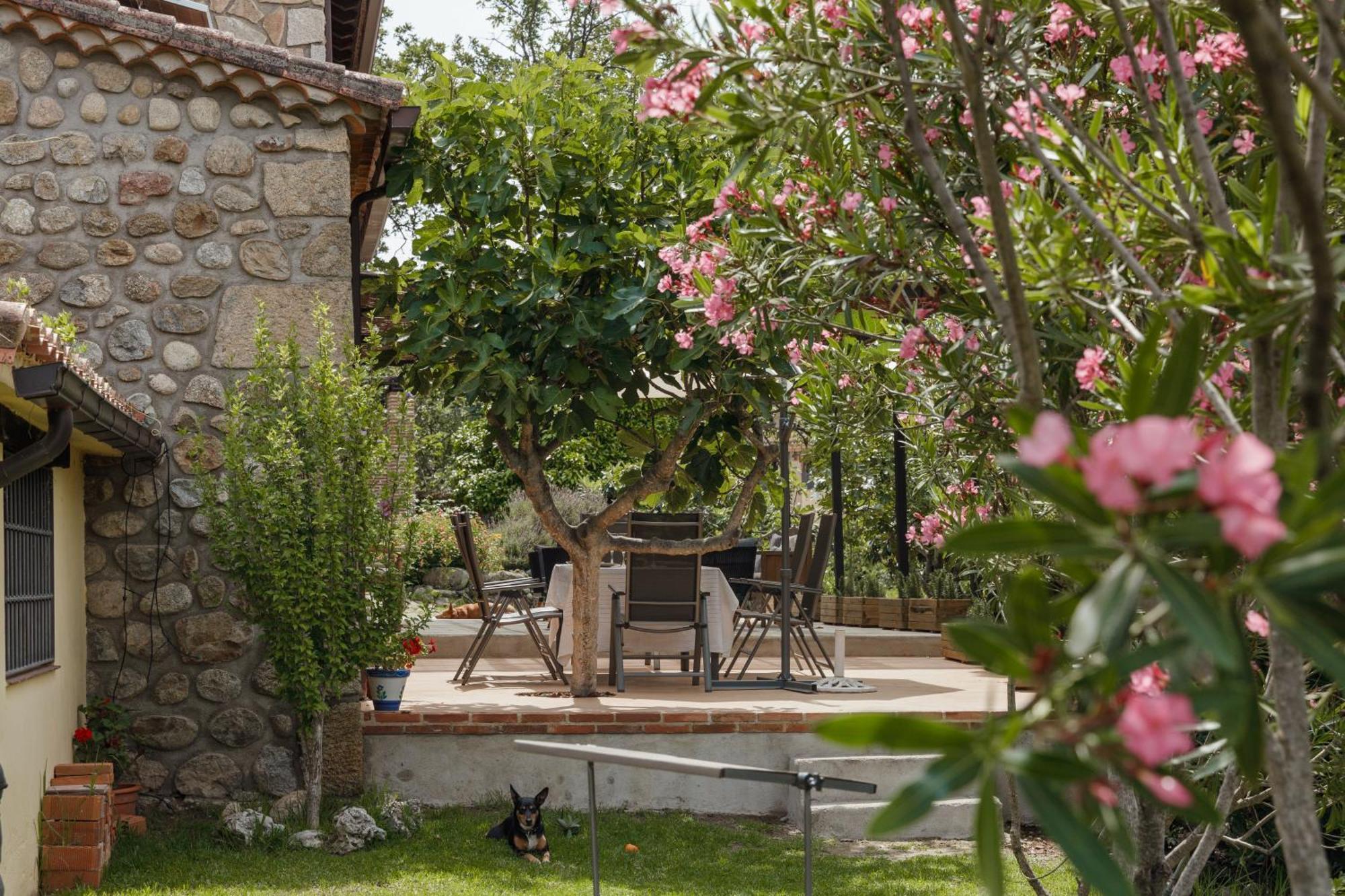 Casa Rural En Candeleda Con Piscina Y Un Maravilloso Jardin ภายนอก รูปภาพ